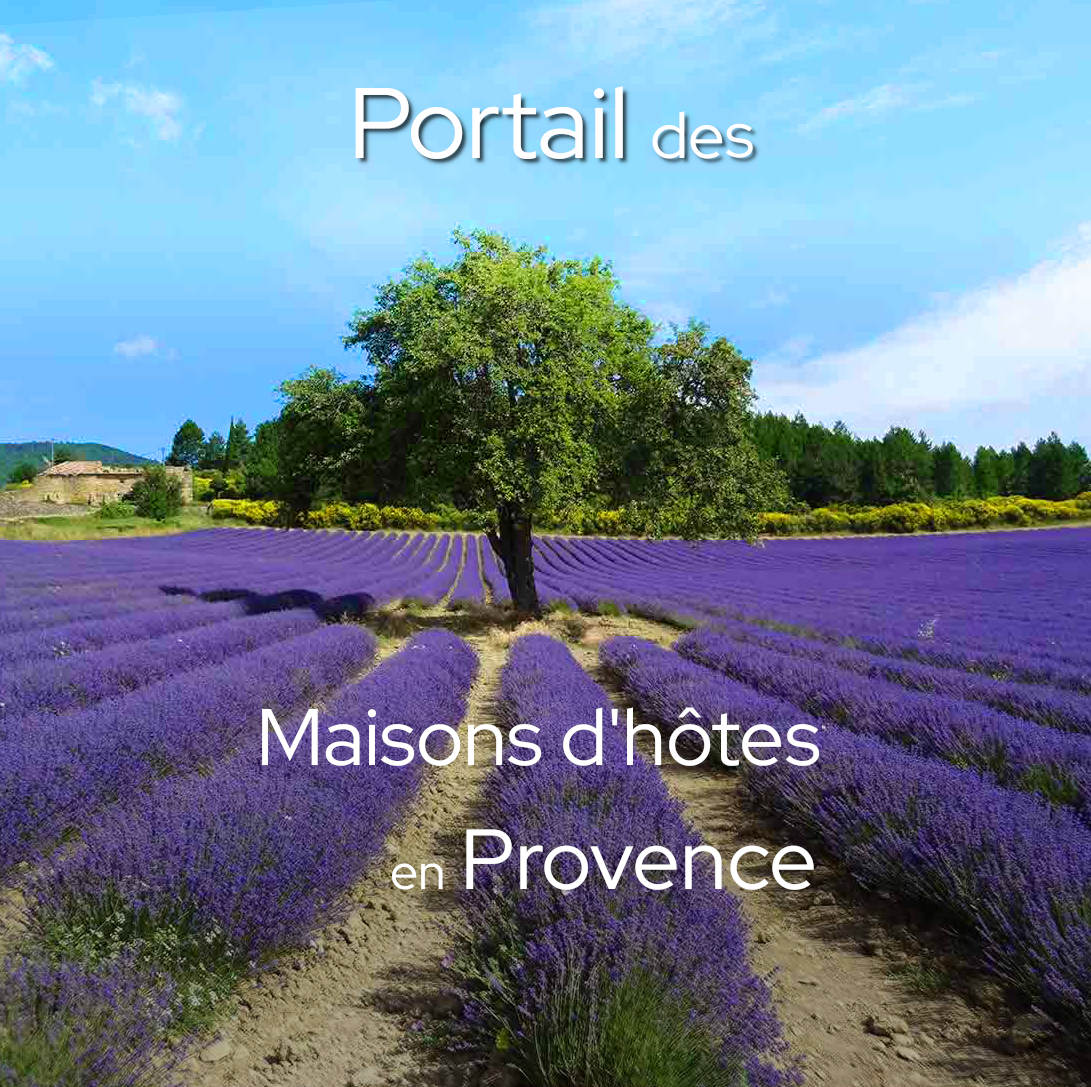 Site Internet Portail des Maisons d'hôtes en Provence